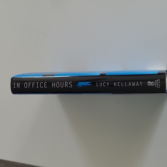 In Office Hours, A Novel by Lucy Kellaway, Interesting Read - Picture 2 of 7